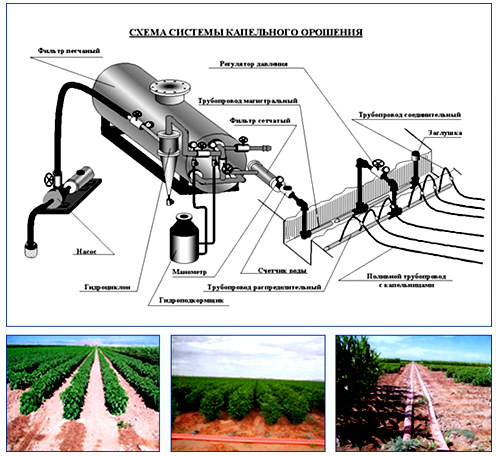 Оросительная сеть основные элементы и схемы
